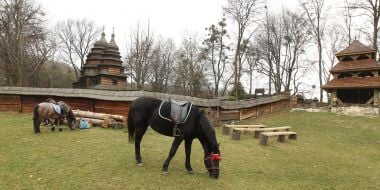 Museum "Shevchenko Guy"