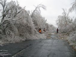 Icing trees in Zaporozhye