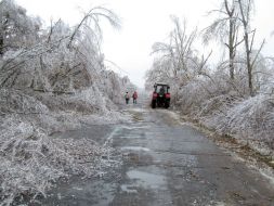 Icing trees in Zaporozhye