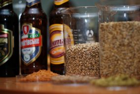 Ingredients for beer