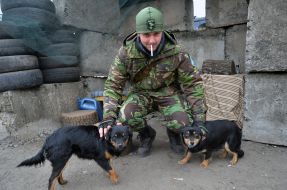 Ukrainian soldier