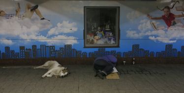 Dog and a homeless man