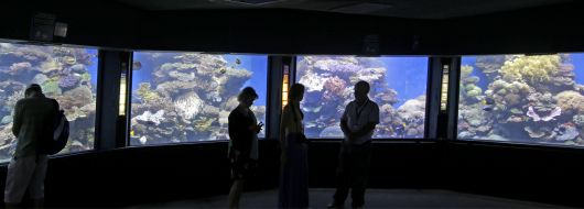 Oceanarium in Eilat