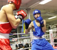 Aleksandr Kravets and Sergey Molchanov