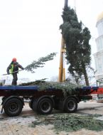 Installation of the main New Year tree