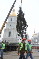 Installation of the main New Year tree
