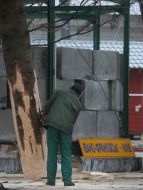 Installation of the main New Year tree