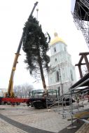 Installation of the main New Year tree