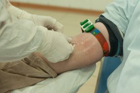 Representatives of the Georgian Diaspora donated blood