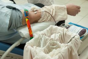 Representatives of the Georgian Diaspora donated blood