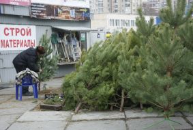 Christmas Tree Bazaar