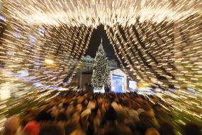 The main Christmas tree of Ukraine