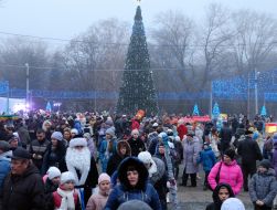 Opening of Christmas Tree