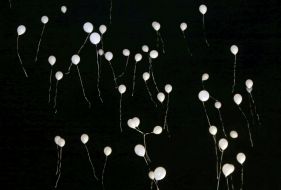 Повітряні кульки в небі