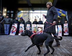 Participants of picketing the General Prosecutor's Office
