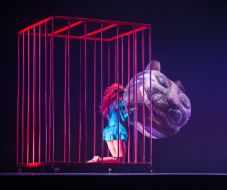 The play "Fairytale Show "Alice in Wonderland countries"