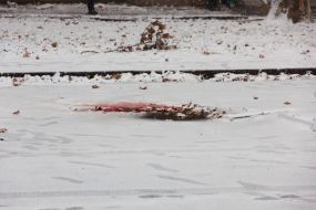 Place of explosion on the street Segedskaya