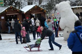 Перший Зимовий парк у Львові