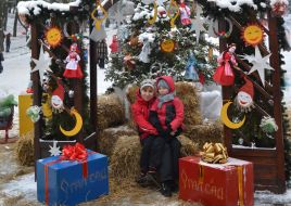 Перший Зимовий парк у Львові