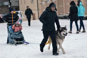 Перший Зимовий парк у Львові