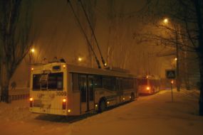 Сильный снегопад в Николаеве