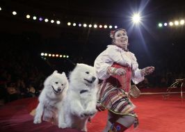 Presentation of new circus program