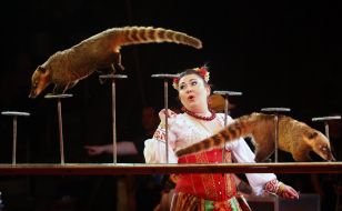 Presentation of new circus program