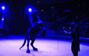 Презентация новой цирковой программы «Килиманджаро»