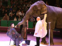 Презентация новой цирковой программы «Килиманджаро»