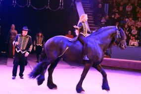 Презентация новой цирковой программы «Килиманджаро»