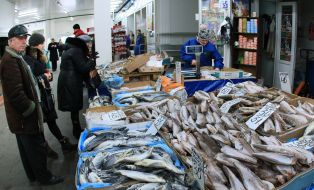 Wholesale market "Shuvar"