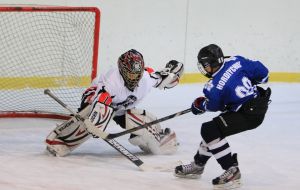 Championship of Ukraine on hockey among juniors (U14)