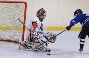 Championship of Ukraine on hockey among juniors (U14)