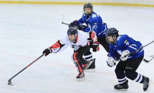 Championship of Ukraine on hockey among juniors (U14)