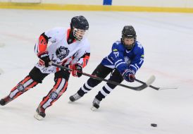Championship of Ukraine on hockey among juniors (U14)