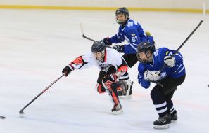 Championship of Ukraine on hockey among juniors (U14)