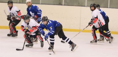 Championship of Ukraine on hockey among juniors (U14)