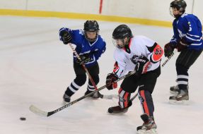 Championship of Ukraine on hockey among juniors (U14)
