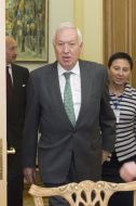 José García-Margallo y Marfil