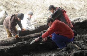 Excavations at the Postal Square