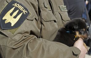 Soldier of volunteer battalion Donbass