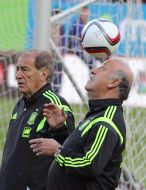 Vicente Del Bosque