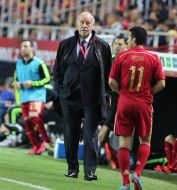Vicente Del Bosque