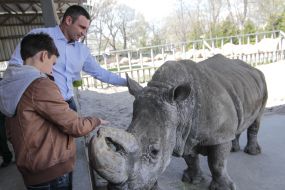 Vitaliy Klitschko inspected the zoo