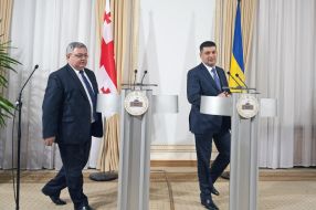 Давид Усупашвили и Владимир Гройсман