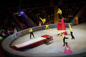 Прем'єра програми «Цирк кураж»