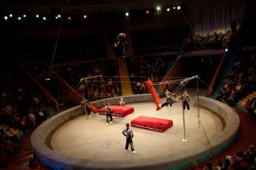 Прем'єра програми «Цирк кураж»