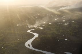 У Чорноьильській зоні горить ліс