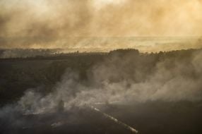 В Чернобыльской зоне горит лес