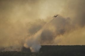 В Чернобыльской зоне горит лес
